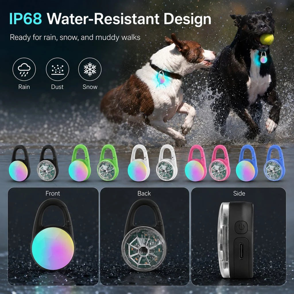 Dog Safety Light Clip-On RGB USB-C Rechargeable Water-Resistant