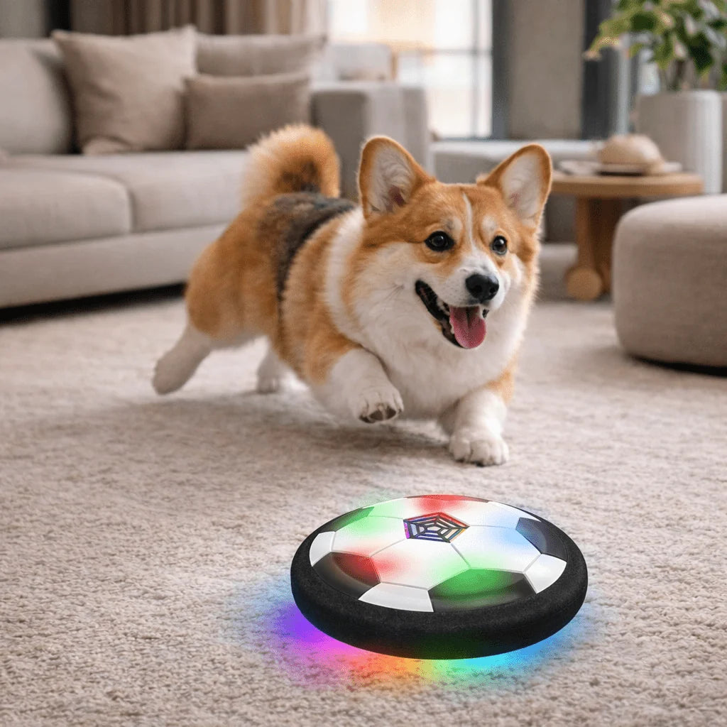 Dog Toy Ball Electronic Random Bouncing Bite-Resistant