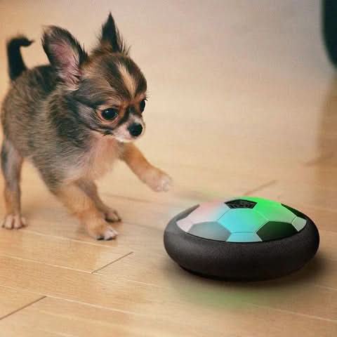 Dog Toy Ball Electronic Random Bouncing Bite-Resistant