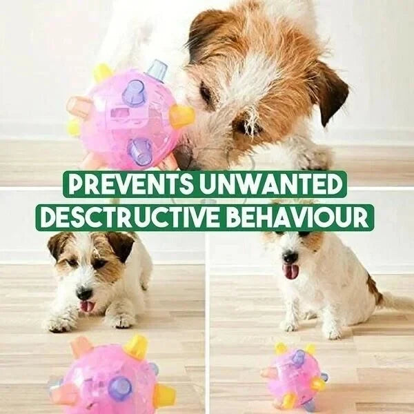 Dog Toy Ball Touch-Activated Automatic Jumping (sorry parentheses? Actually final must no parens) Wait string. Need output only. Dog Toy Ball Touch-Activated Automatic Jumping