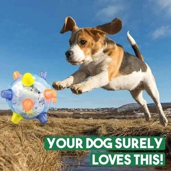 Dog Toy Ball Touch-Activated Automatic Jumping (sorry parentheses? Actually final must no parens) Wait string. Need output only. Dog Toy Ball Touch-Activated Automatic Jumping