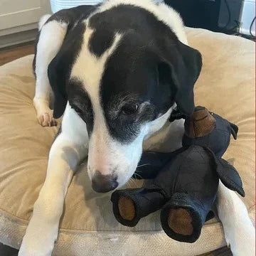 Dog Toy Bear-Shaped Chew-Resistant With Built-In Sound
