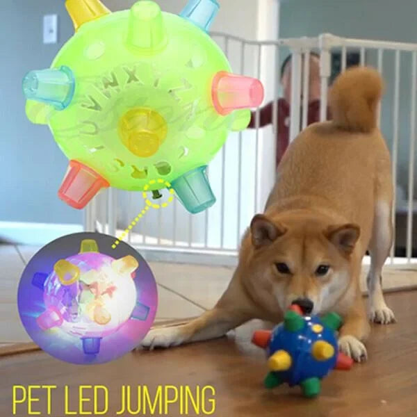 Dog Toy Motion-Activated LED Non-Toxic
