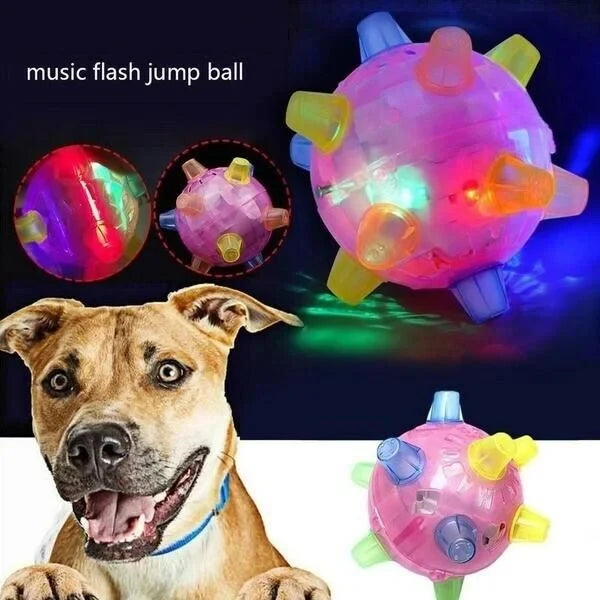 Dog Toy Motion-Activated LED Non-Toxic