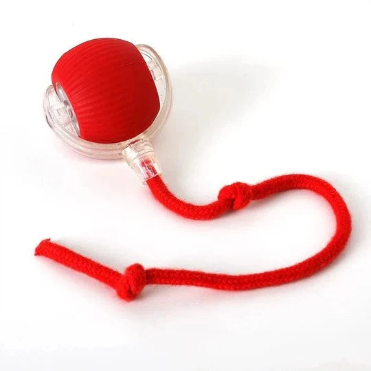 Dog Toy Motion-Activated Rolling Ball Removable Tail Attachment