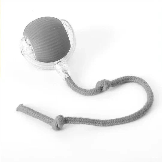 Dog Toy Motion-Activated Rolling Ball Removable Tail Attachment