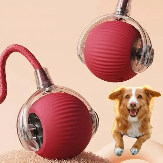 Dog Toy Motion-Activated Rolling Ball Removable Tail Attachment