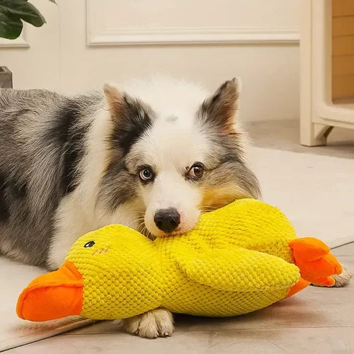 Dog Toy Plush Duck Low-Frequency Quack Reinforced Seams