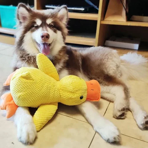Dog Toy Plush Duck Low-Frequency Quack Reinforced Seams