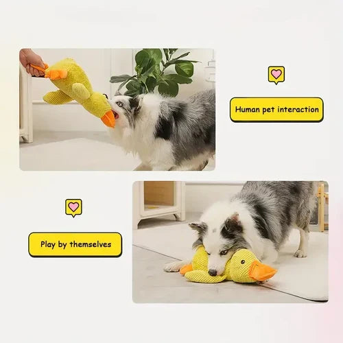 Dog Toy Plush Duck Low-Frequency Quack Reinforced Seams