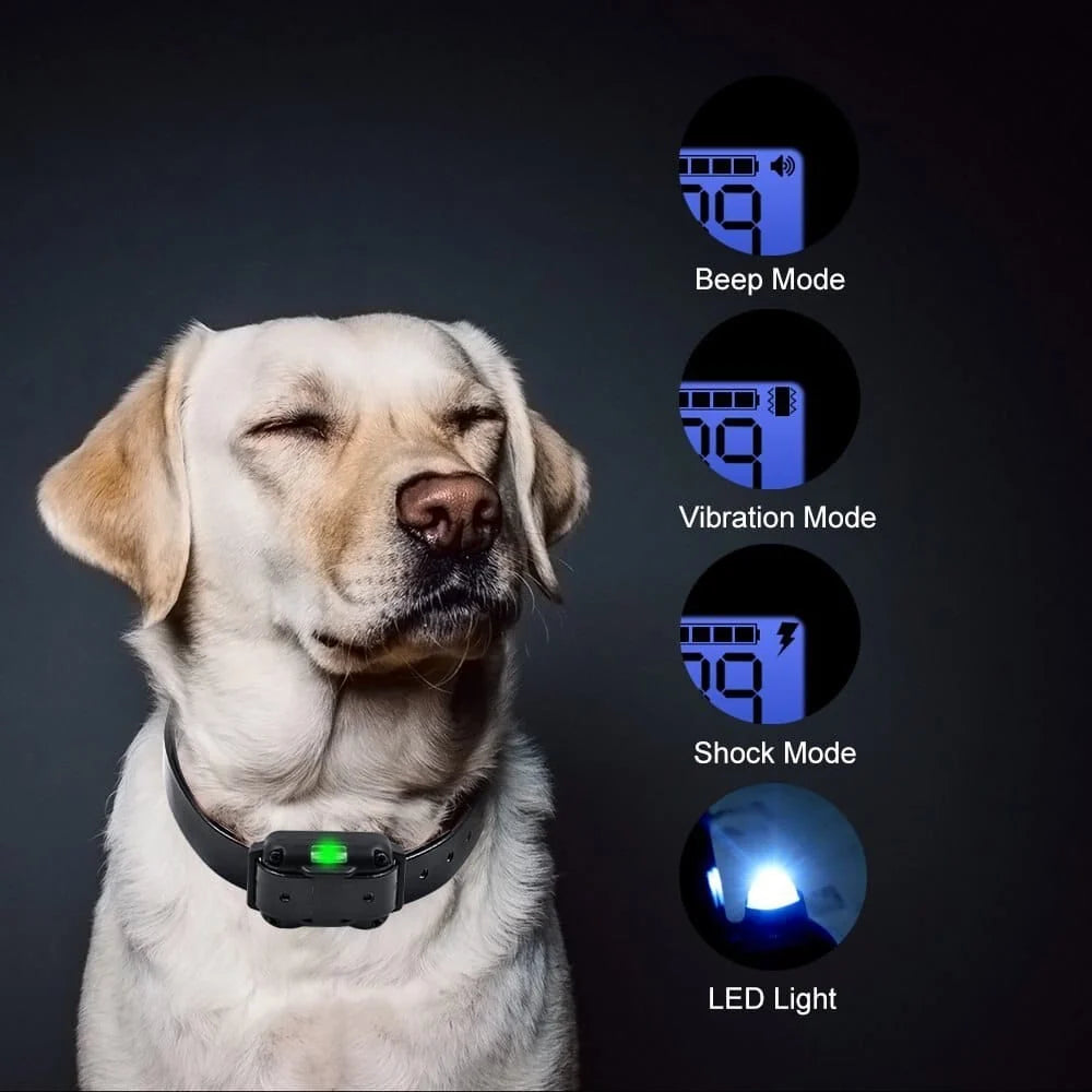 Dog Training Collar 0.5-Mile Range Waterproof & Rechargeable