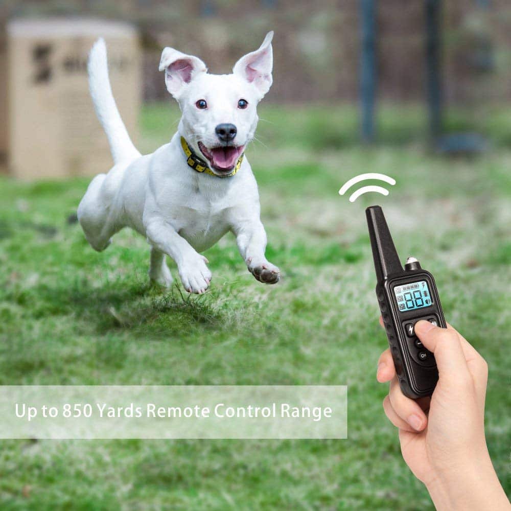 Dog Training Collar 0.5-Mile Range Waterproof & Rechargeable