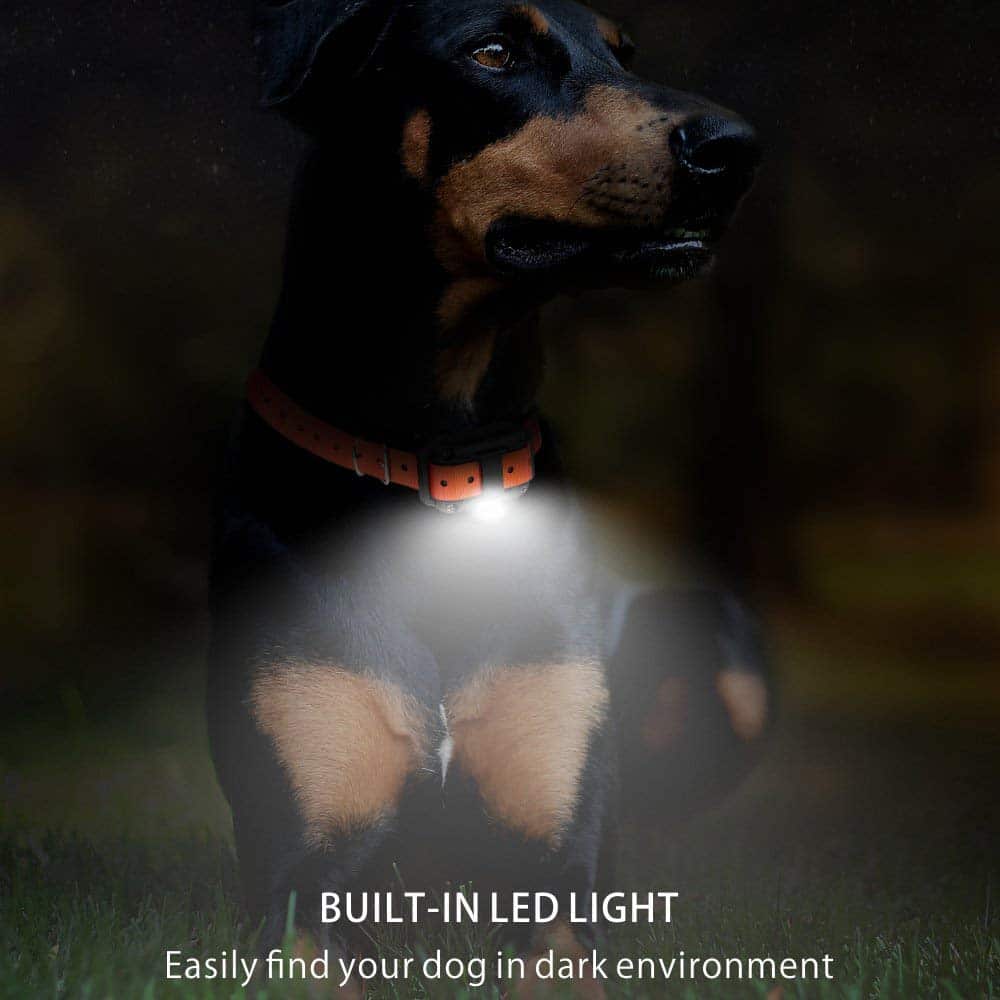 Dog Training Collar 2,625 Ft Range Water-Resistant