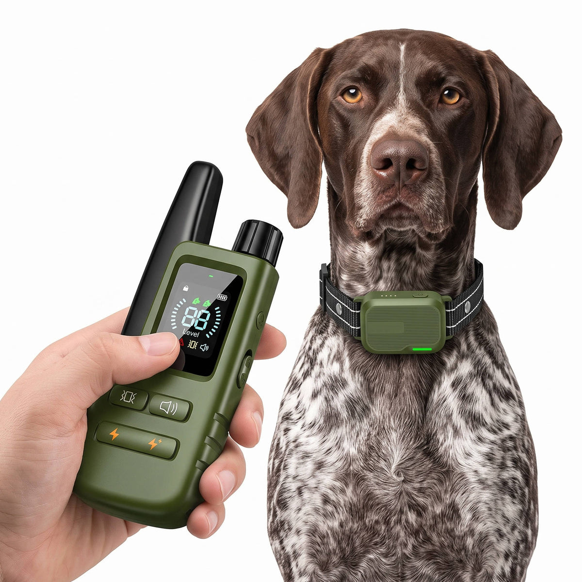 Dog Training Collar 3300 Ft Range Waterproof Dual-Dog Control