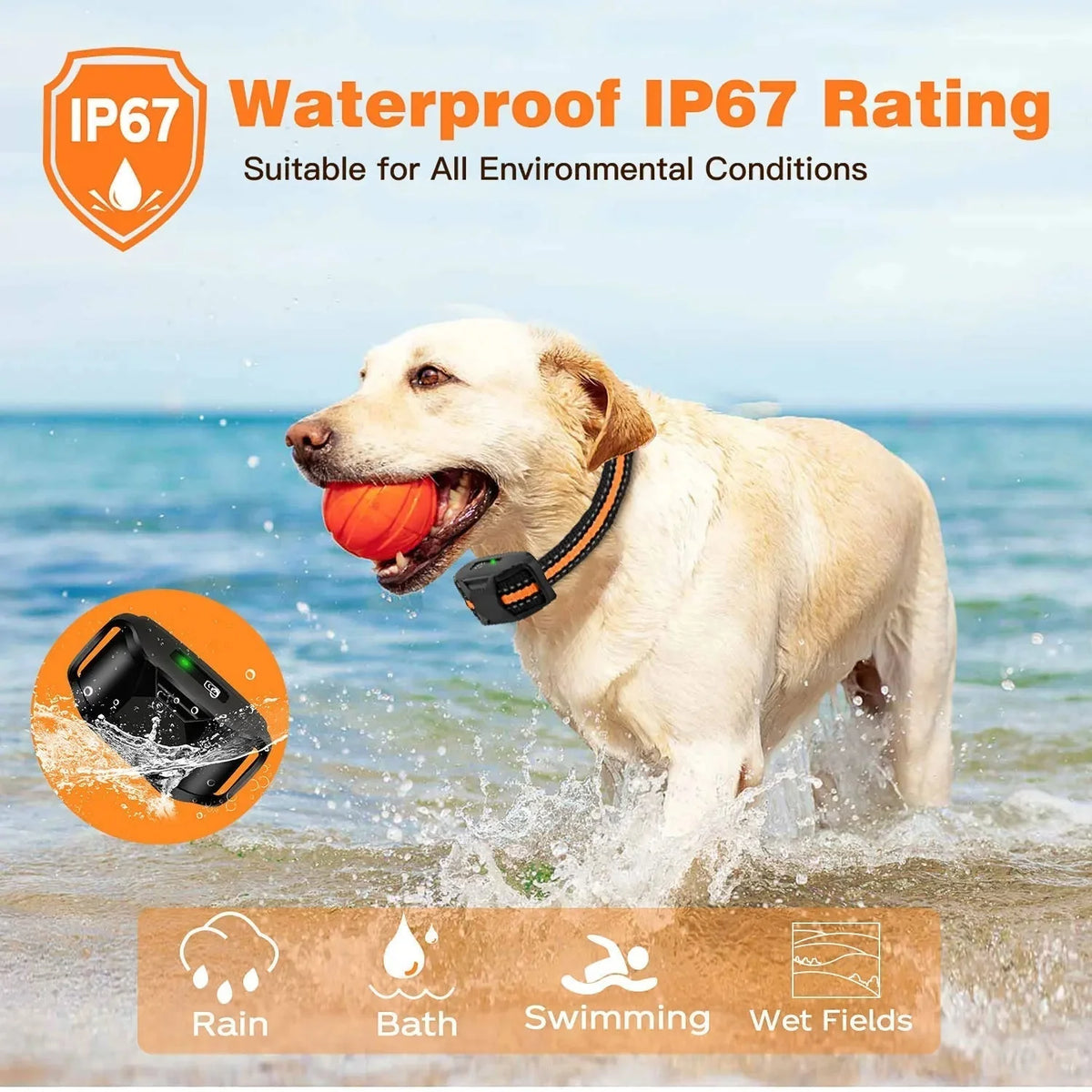 Dog Training Collar Waterproof Remote Control 0.62-Mile Range