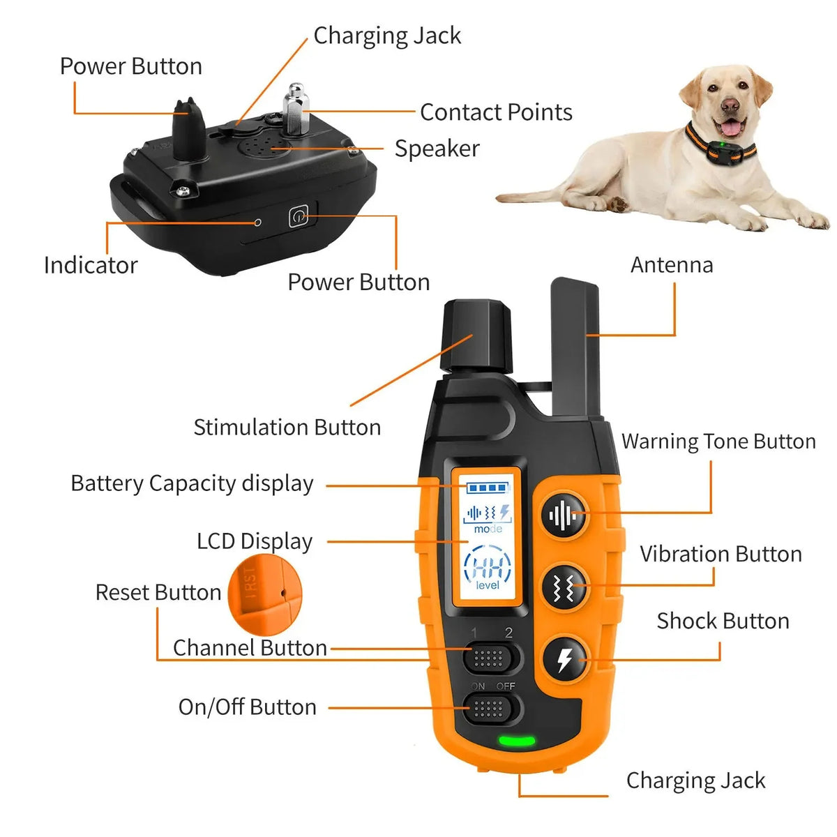 Dog Training Collar Waterproof Remote Control 0.62-Mile Range