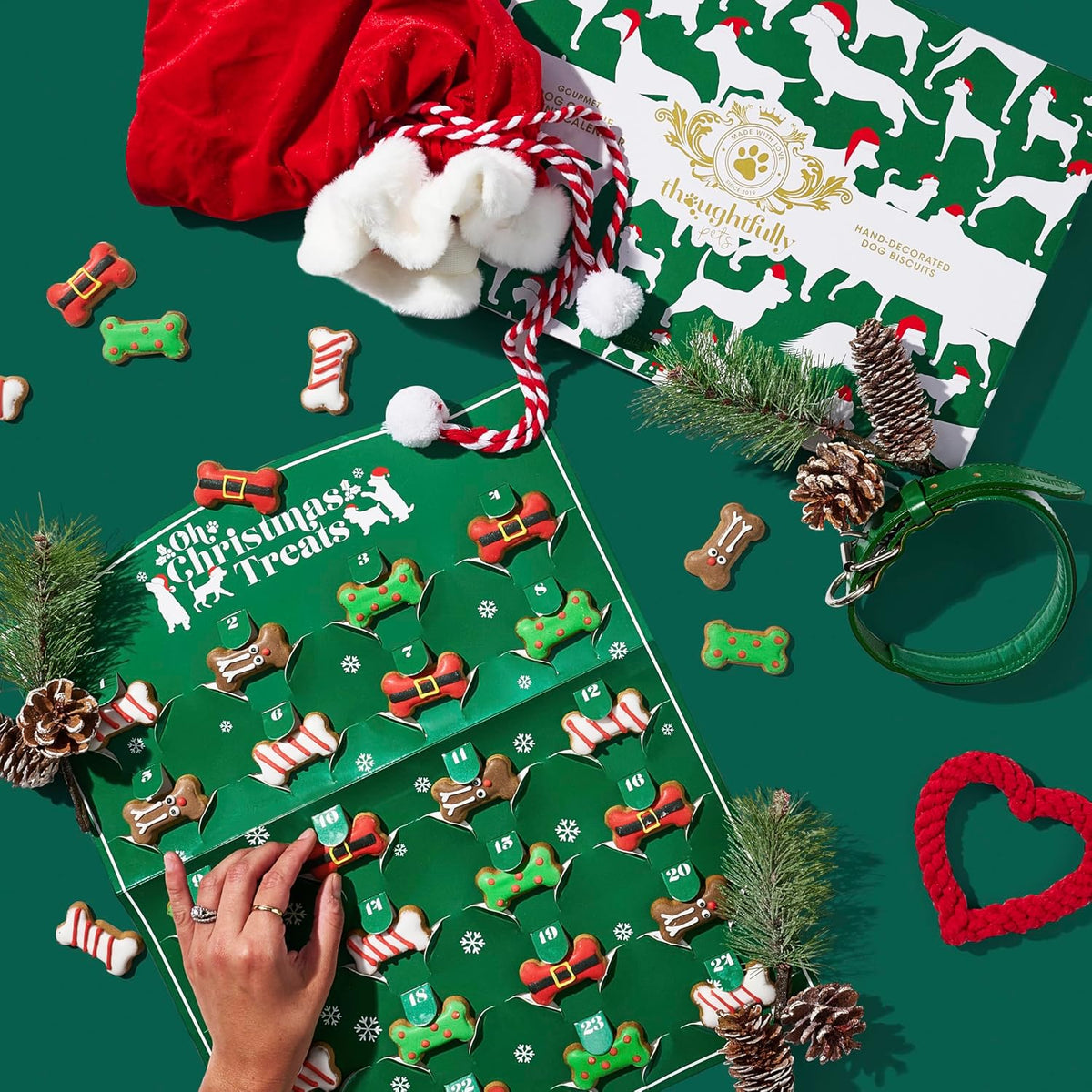 Dog Treat Advent Calendar 24 Gingerbread Biscuits
