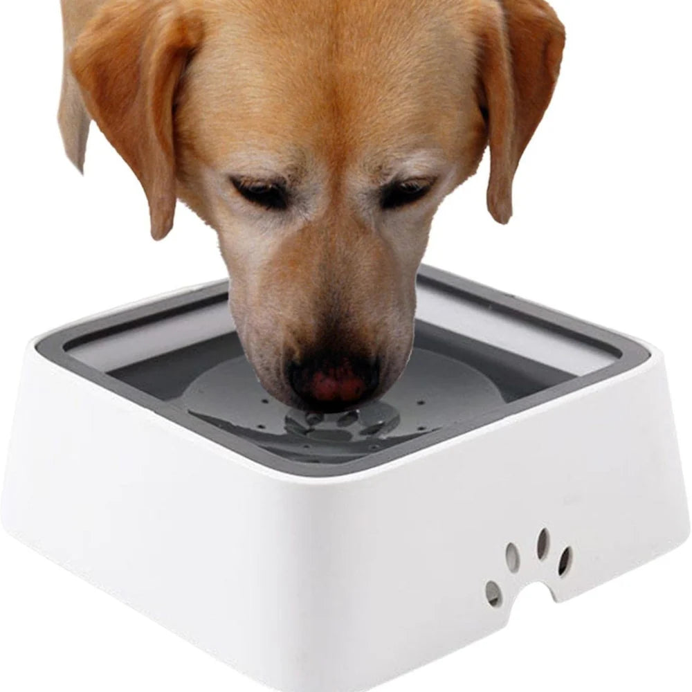 Dog Water Bowl Floating Disk Anti-Splash Non-Slip 1.6 Quart