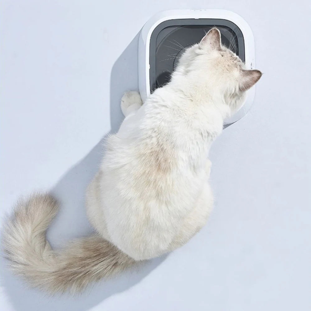 Dog Water Bowl Floating Disk Anti-Splash Non-Slip 1.6 Quart