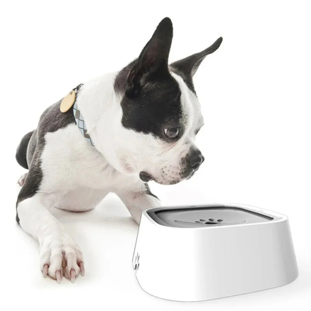 Dog Water Bowl Floating Disk Anti-Splash Non-Slip 1.6 Quart