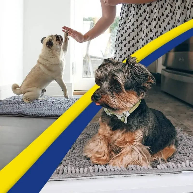 Door Mat Absorbent Chenille Non-Slip Machine Washable