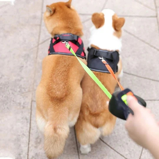 Double Dog Leash Anti-Tangle Swivel Padded Handle