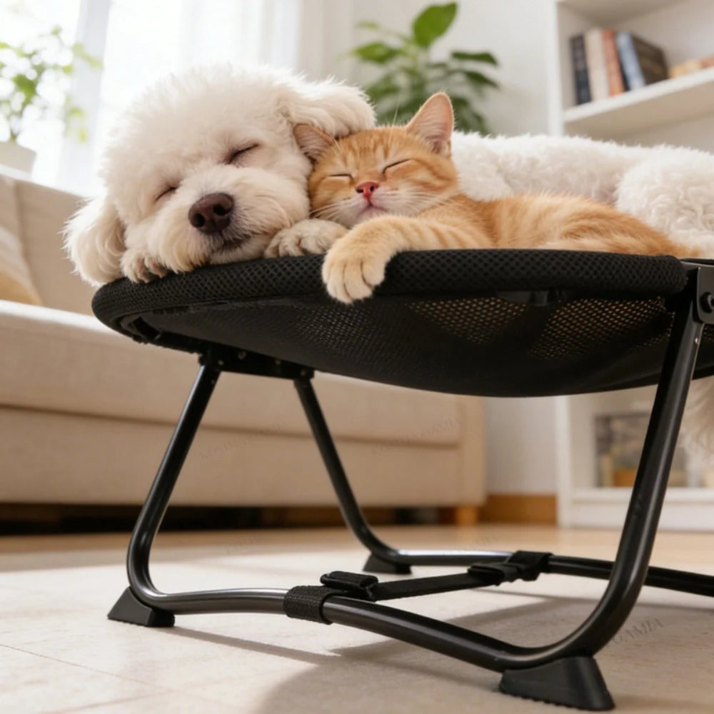Elevated Pet Bed Breathable Mesh Foldable Frame