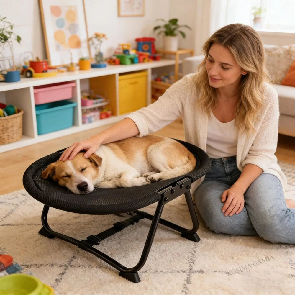 Elevated Pet Bed Breathable Mesh Foldable Frame