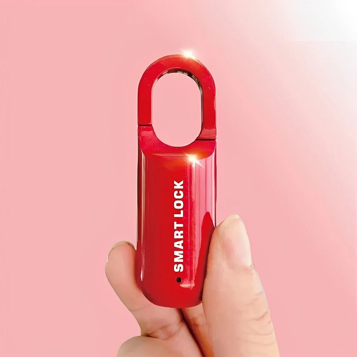 Fingerprint Padlock Zinc Alloy Stores 10 Fingerprints