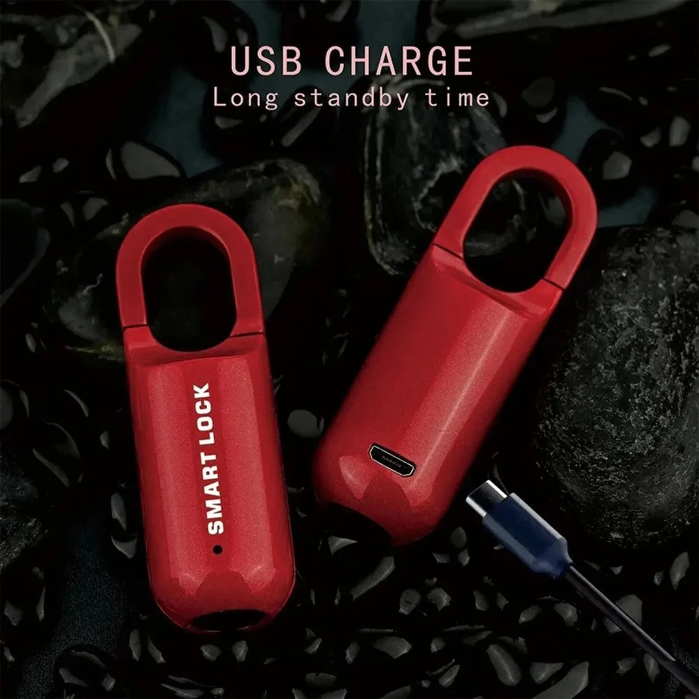 Fingerprint Padlock Zinc Alloy Stores 10 Fingerprints
