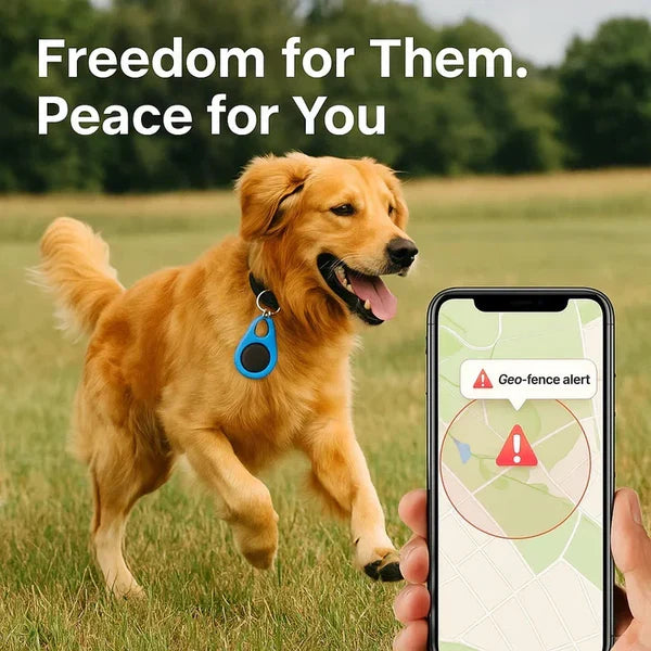 GPS Tracker Tag Bluetooth Out-of-Range Alerts