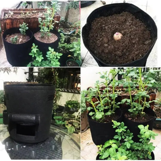 Grow Bag Planter Breathable Felt Side Harvest Flap Reinforced Handles