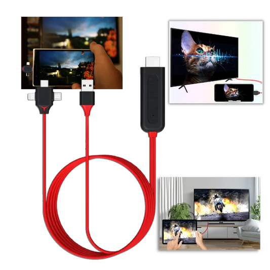 HDMI Adapter Interchangeable Connectors & Power Cable
