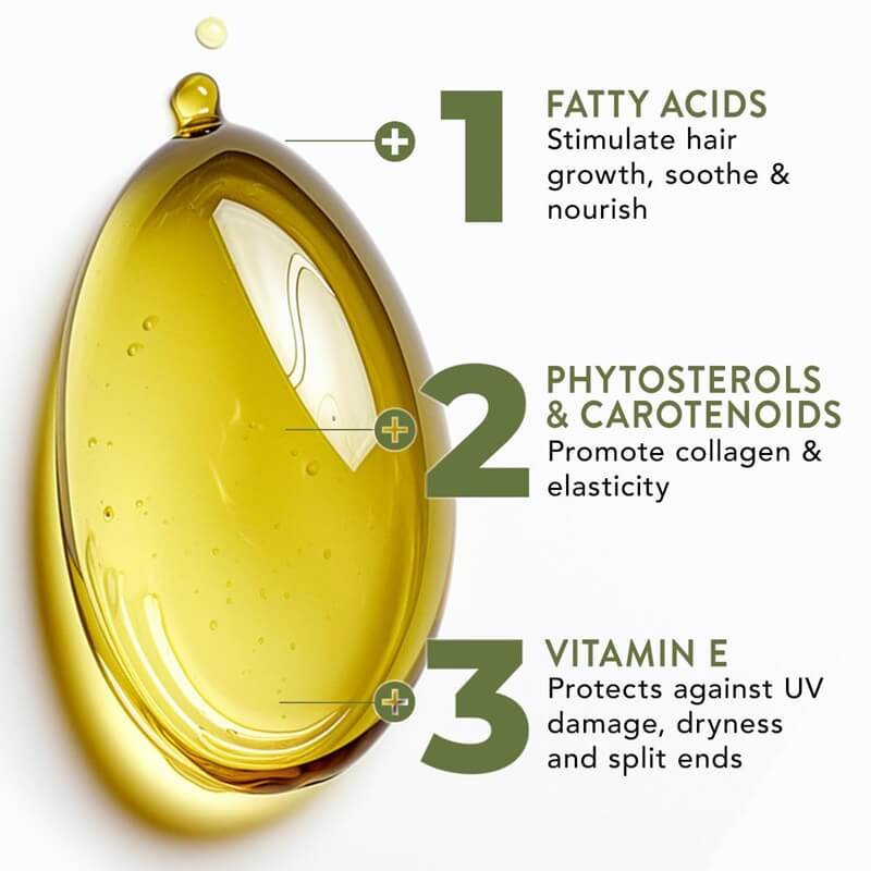 Hair Oil Organic Raw Batana Vitamin E & Botanicals