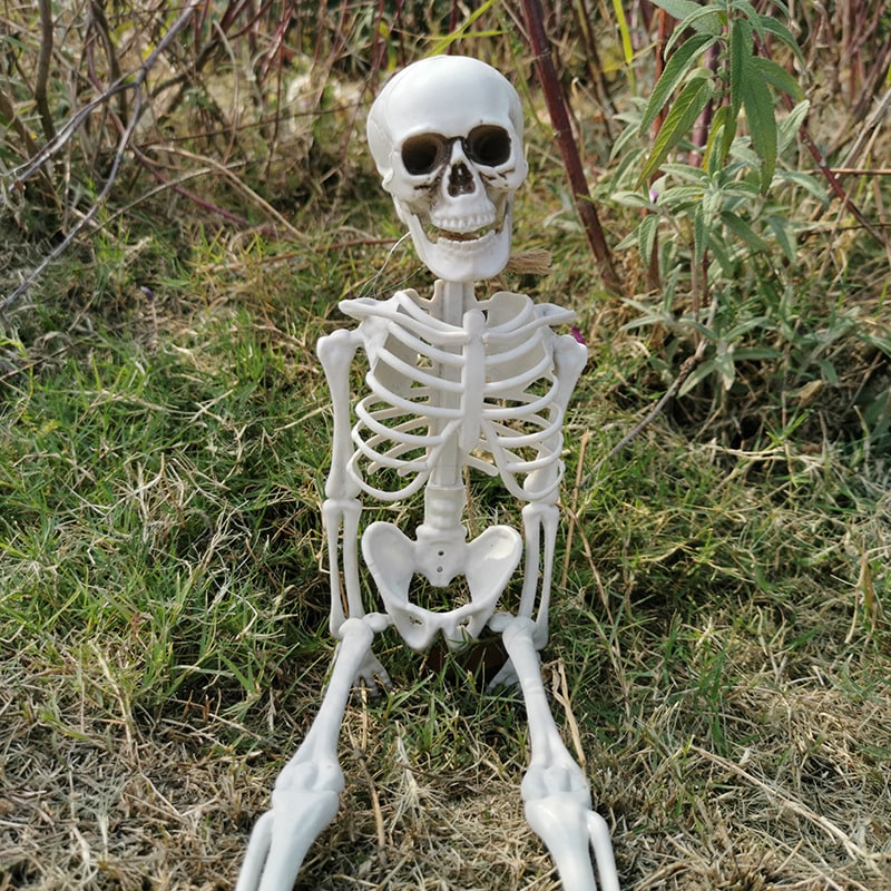 Halloween Skeleton Decoration Posable Joints Movable Jaw