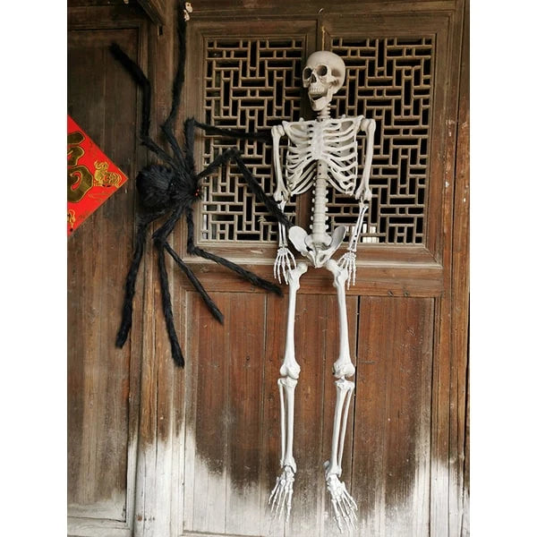 Halloween Skeleton Decoration Posable Joints Movable Jaw