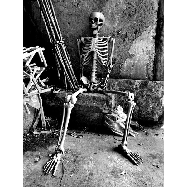 Halloween Skeleton Decoration Posable Joints Movable Jaw