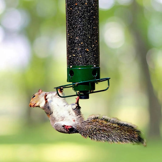 Hanging Bird Feeder Squirrel-Proof Polycarbonate & Metal 5 lb