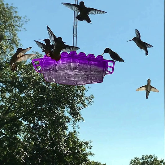 Hanging Hummingbird Feeder Bee-Resistant 30 Feeding Ports Dishwasher-Safe