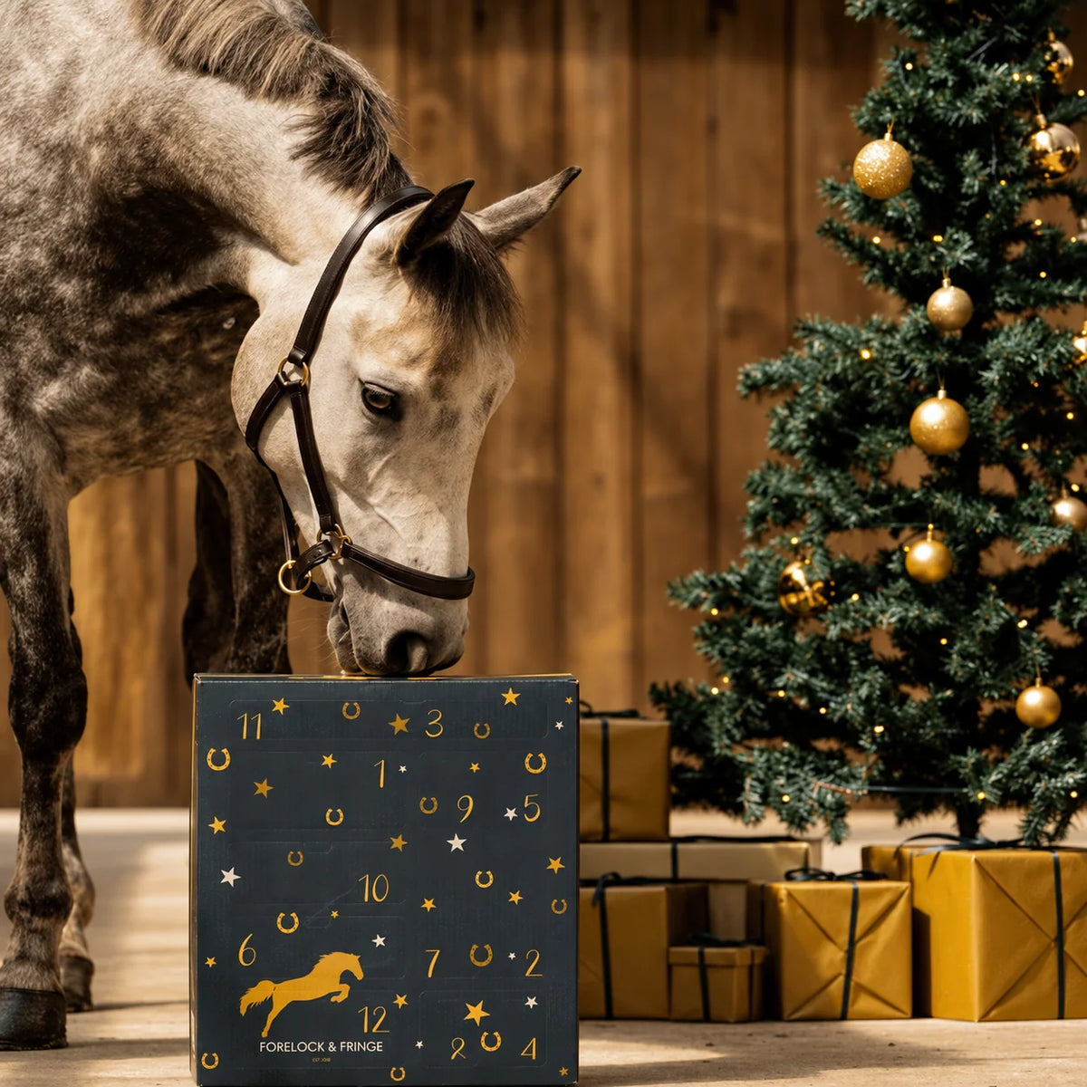 Horse Advent Calendar 24-Day Grooming & Keepsake Set