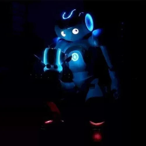 Humanoid Robot 25-Axis Movement Voice Interaction
