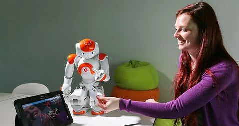 Humanoid Robot 25-Axis Movement Voice Interaction