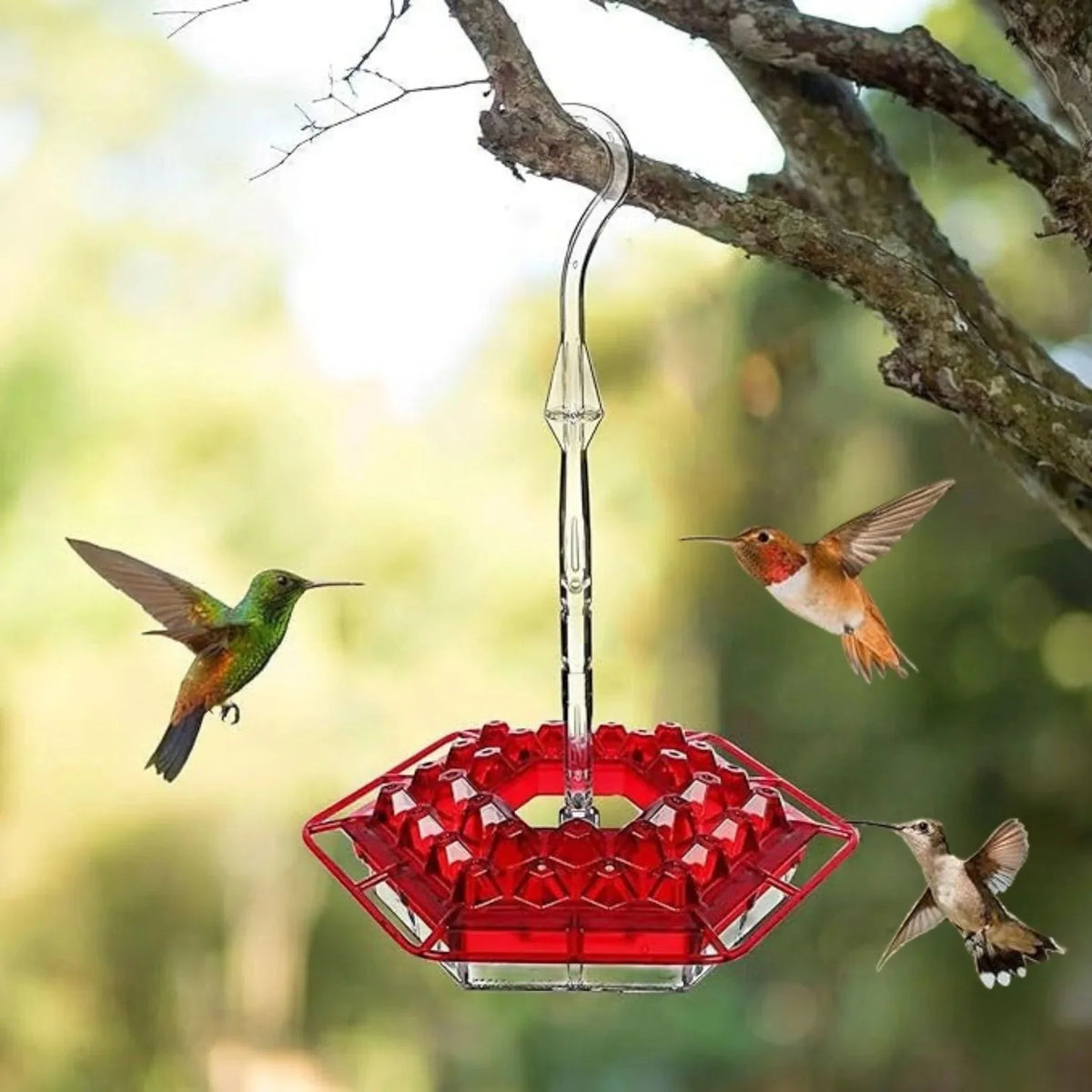 Hummingbird Feeder 30 Feeding Ports Built-In Ant Moat