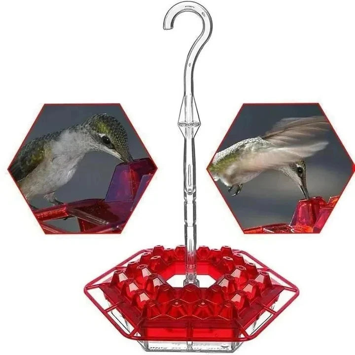 Hummingbird Feeder 30 Feeding Ports Built-In Ant Moat