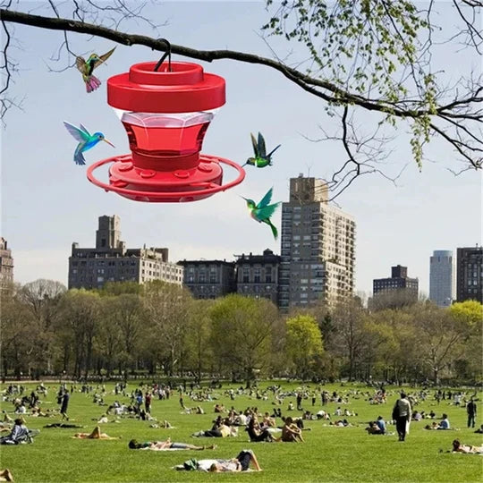 Hummingbird Feeder Bee-Resistant With Ant Moat 16 Oz