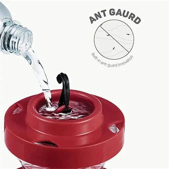 Hummingbird Feeder Bee-Resistant With Ant Moat 16 Oz