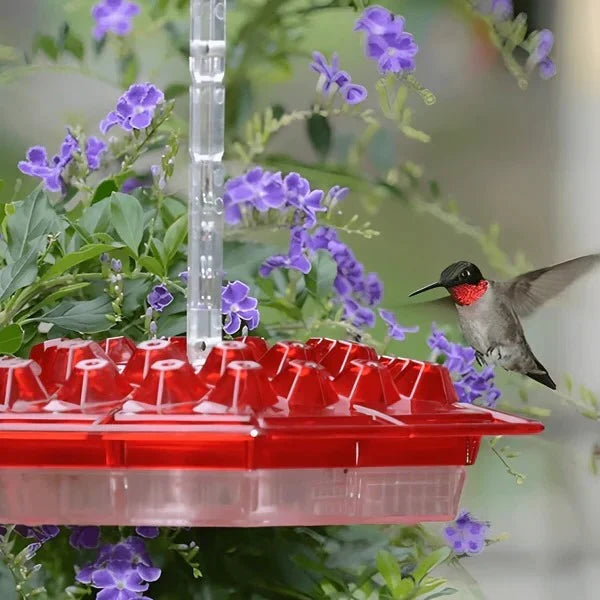 Hummingbird Feeder Built-In Ant Moat Leak-Proof Wide Opening