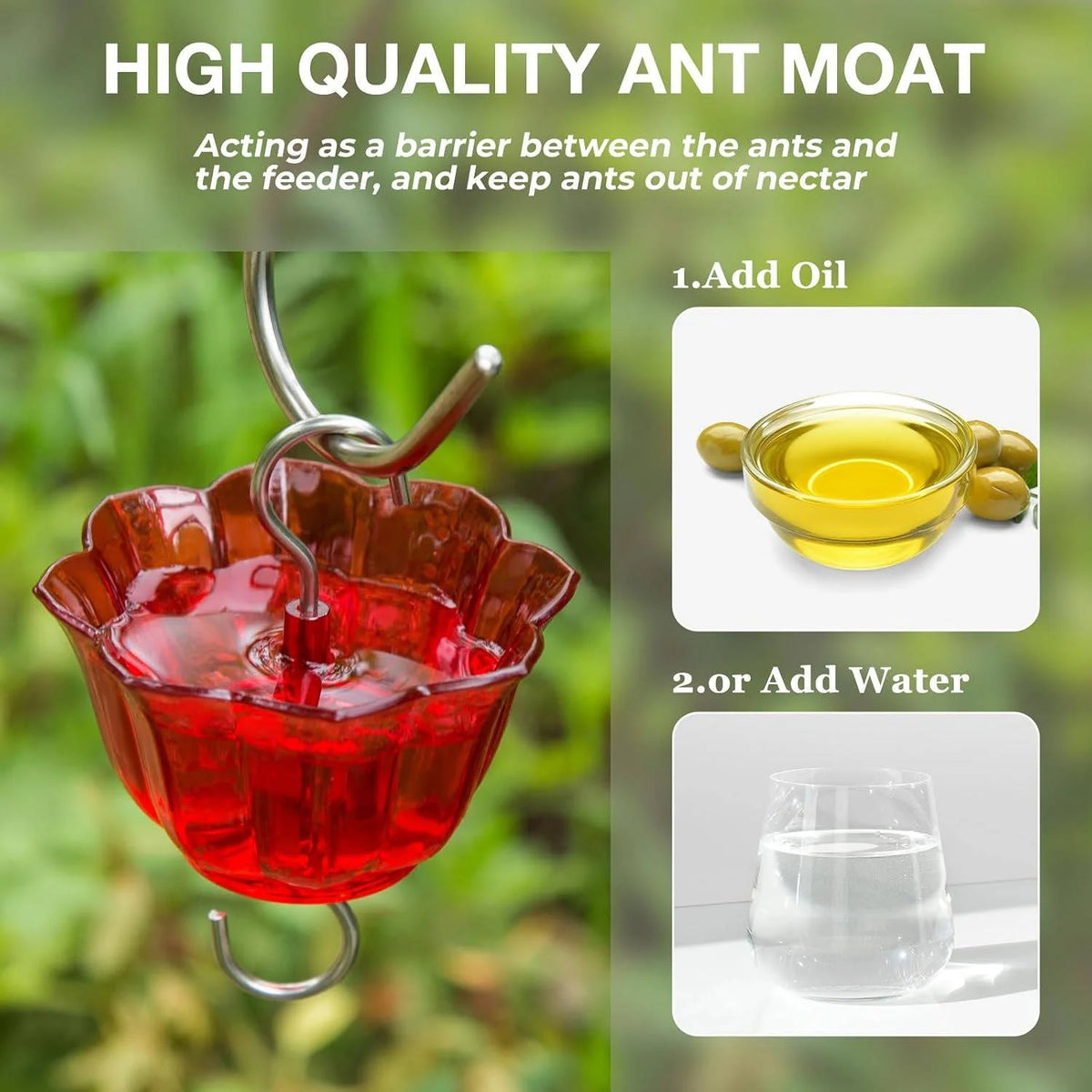 Hummingbird Feeder Glass 6 Feeding Ports & Ant Moat