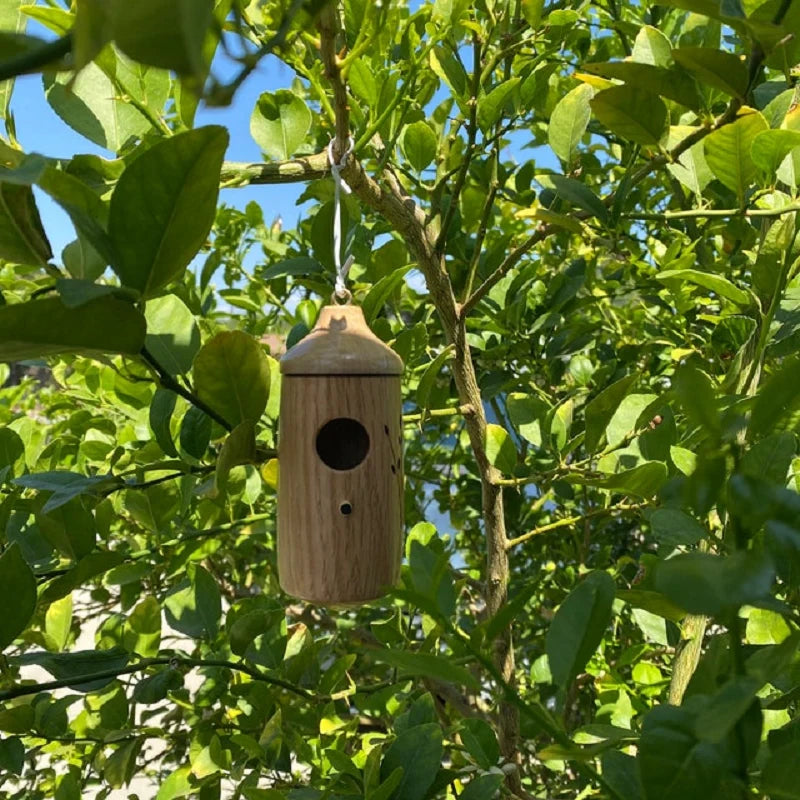 Hummingbird House Weather-Resistant Resin Hanging Loop