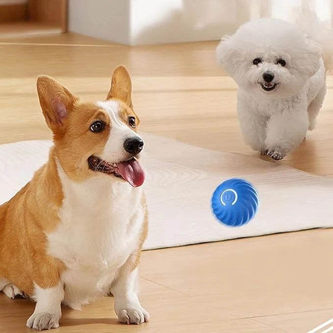 Interactive Dog Toy Obstacle Sensing Rechargeable Chew Resistant